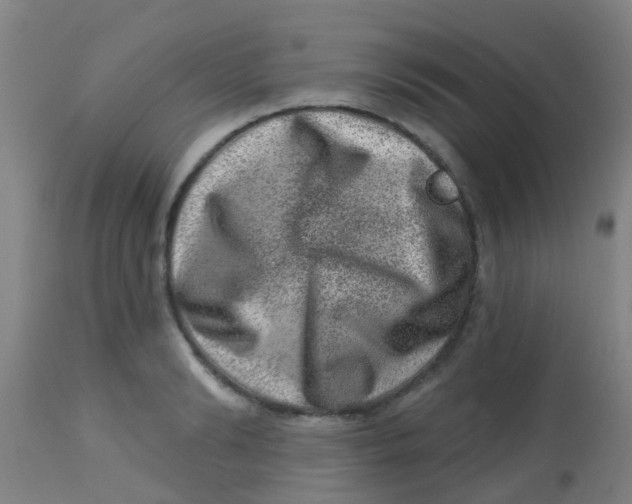 X0000113860894200910221439
