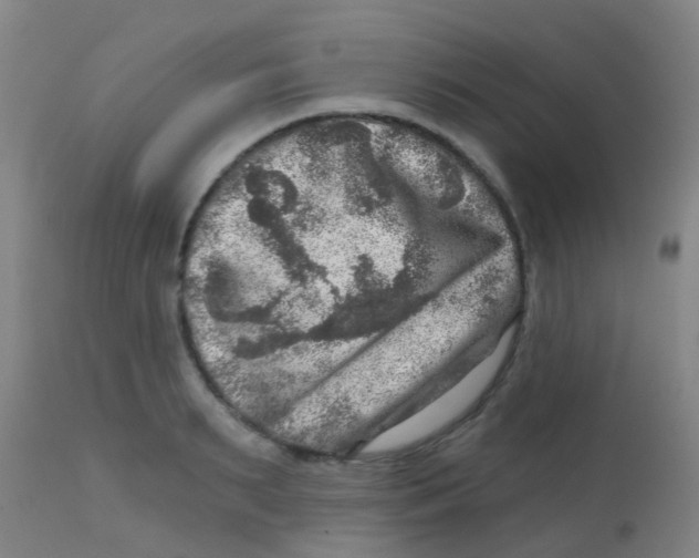 X0000113860895200910221439