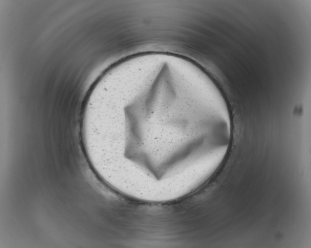 X0000113860896200910221438