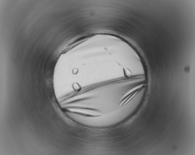 X0000113860897200910221438