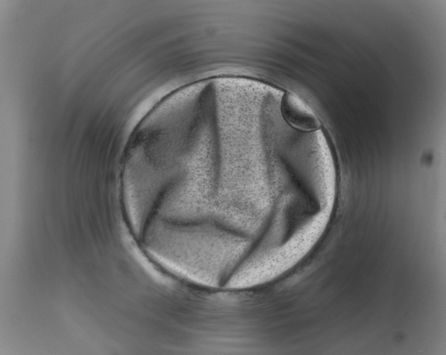 X0000113860898200910221438