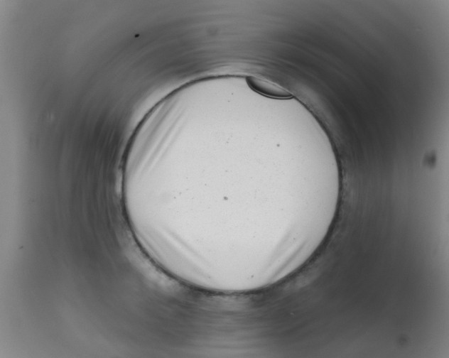 X0000113860900200910221438