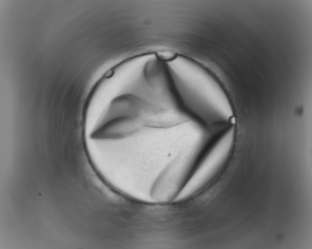 X0000113860902200910221438