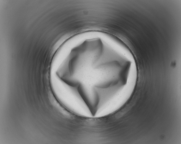 X0000113860906200910221438