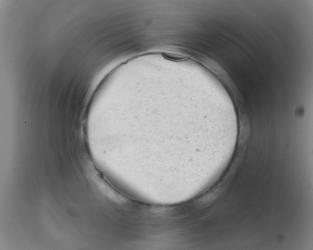 X0000113860908200910221438