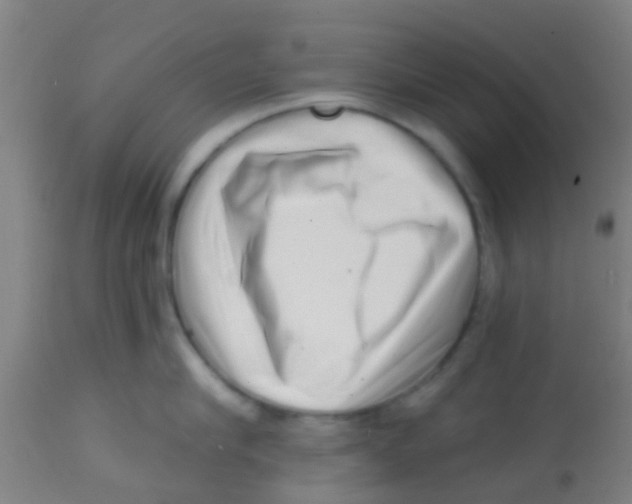 X0000113860910200910221438