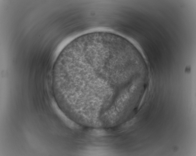 X0000113860911200910221438