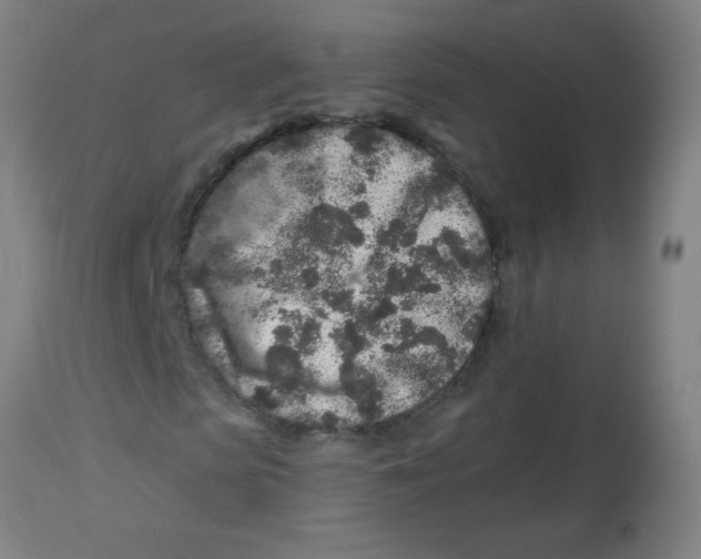 X0000113860913200910221437