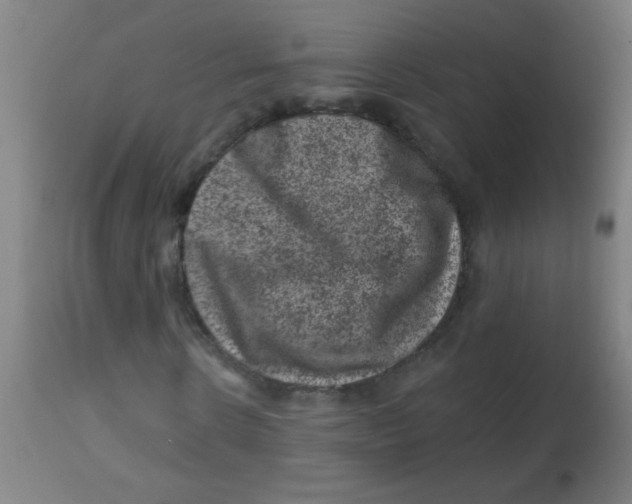 X0000113860914200910221437
