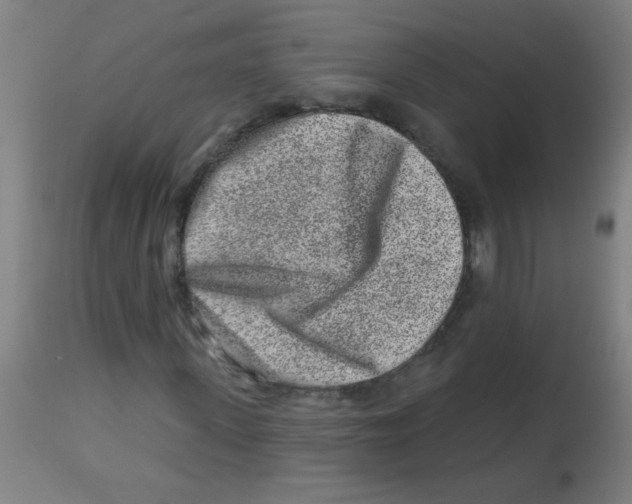 X0000113860915200910221437
