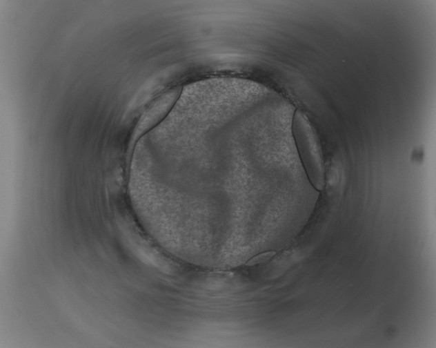 X0000113860916200910221437