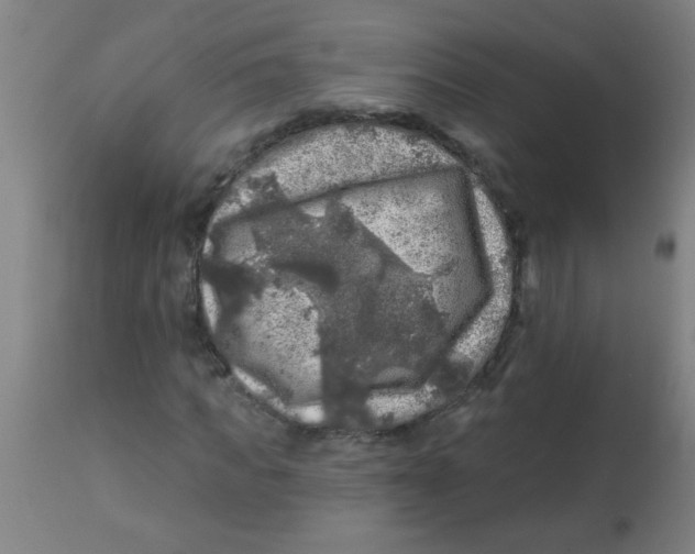 X0000113860917200910221437