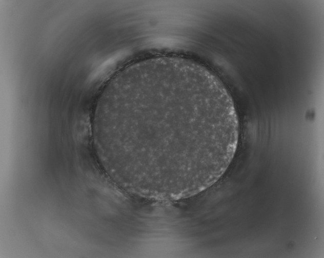 X0000113860918200910221437
