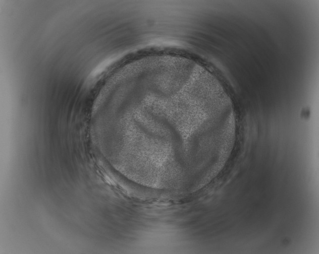 X0000113860919200910221437