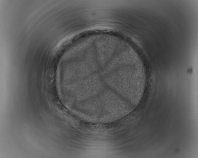 X0000113860920200910221437