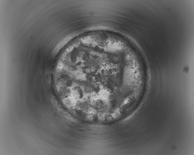 X0000113860921200910221437