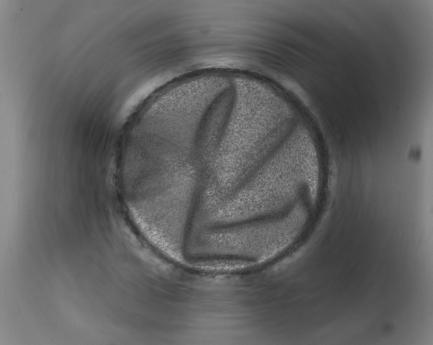 X0000113860922200910221437
