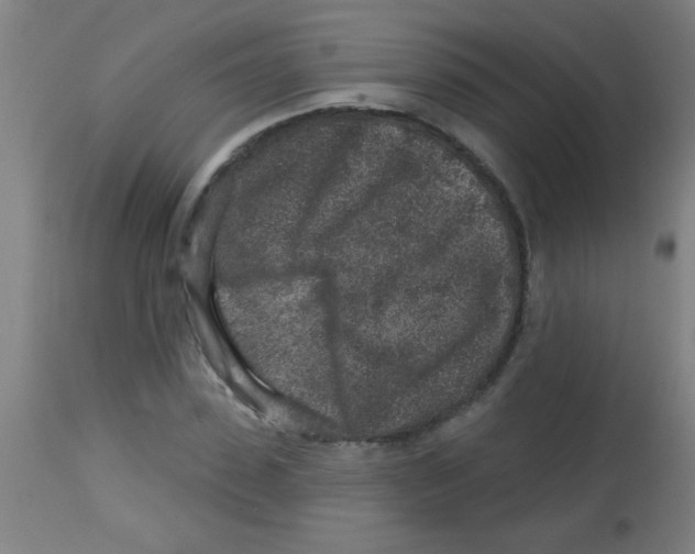 X0000113860923200910221437