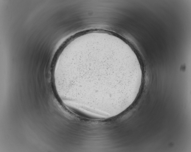X0000113860924200910221437