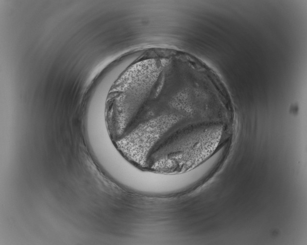 X0000113860925200910221437