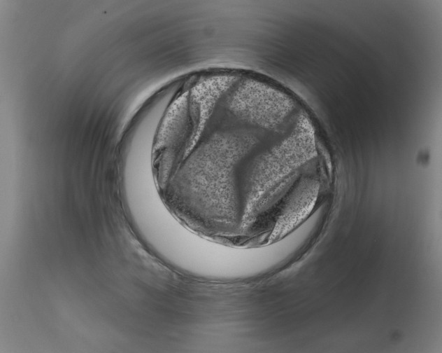 X0000113860926200910221437