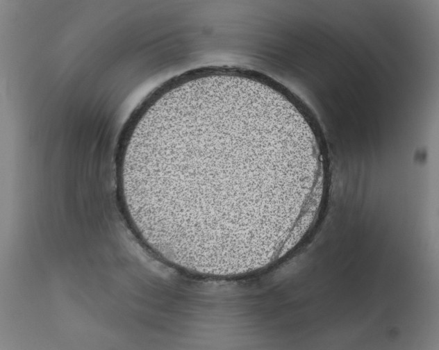X0000113860927200910221437