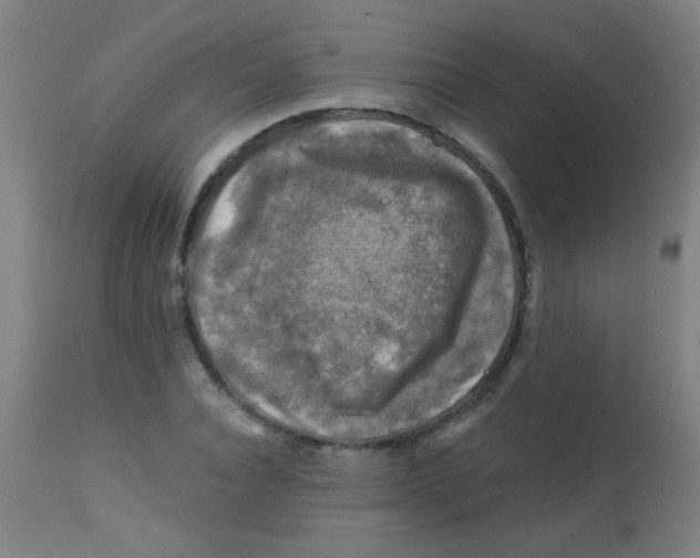 X0000113860928200910221438