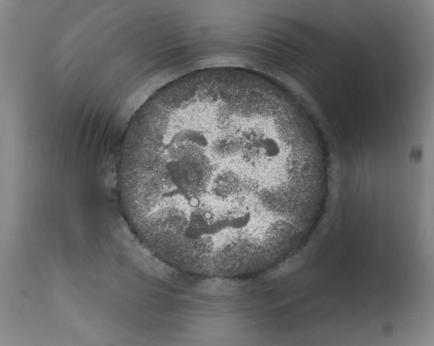 X0000113860929200910221438