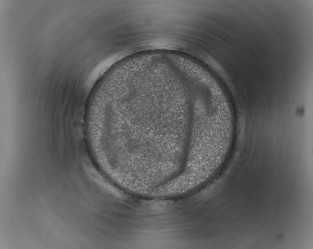 X0000113860930200910221438