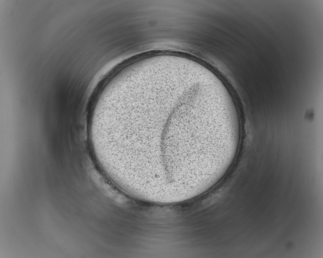 X0000113860931200910221438