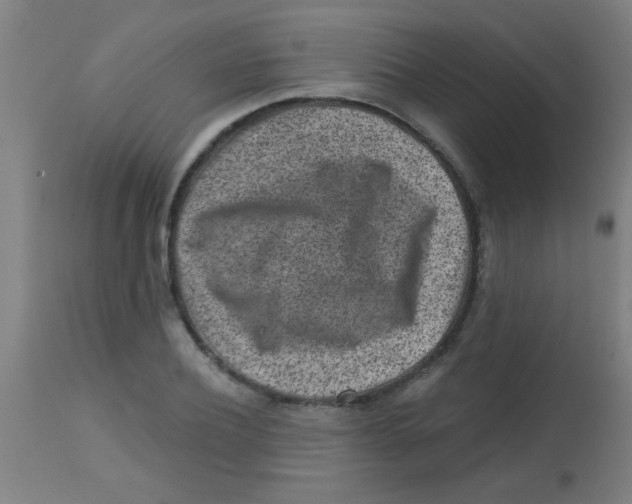 X0000113860932200910221438
