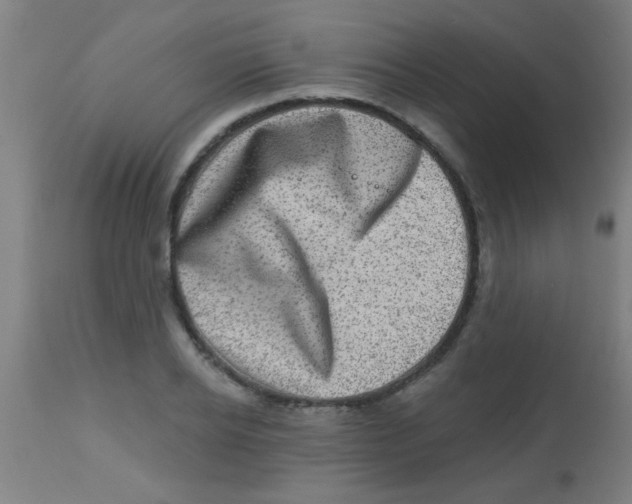 X0000113860934200910221438