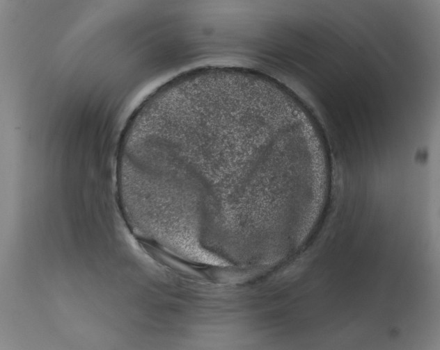 X0000113860935200910221438
