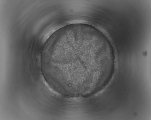 X0000113860937200910221438