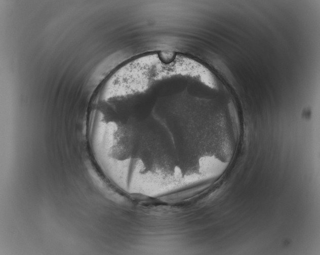 X0000113860938200910221438