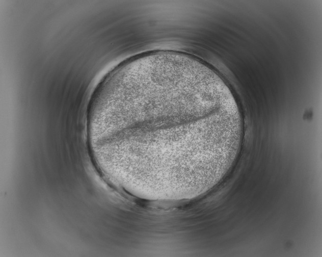 X0000113860939200910221438