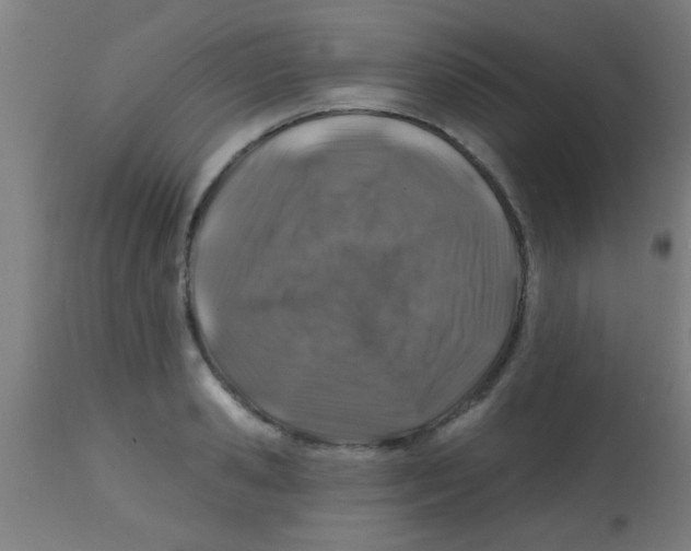 X0000113860941200910221438