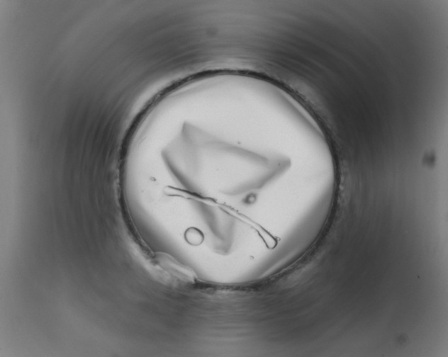 X0000113860942200910221438