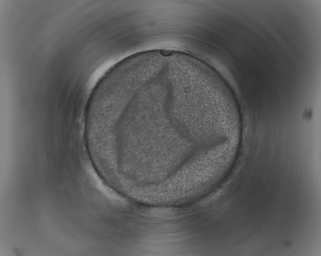 X0000113860944200910221438