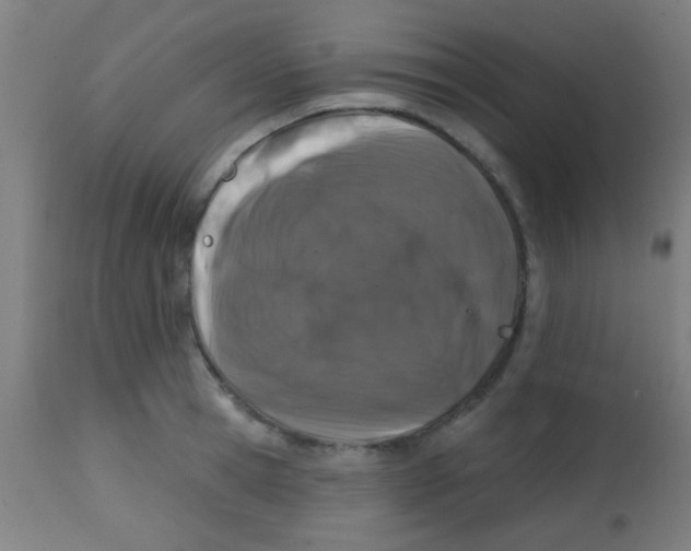 X0000113860945200910221438