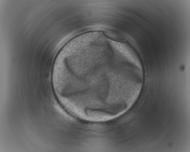 X0000113860946200910221438