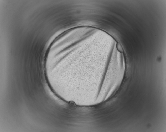 X0000113860947200910221438