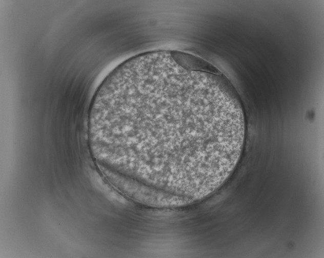 X0000113860948200910221438