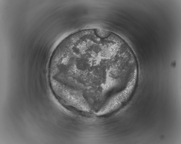 X0000113860949200910221438