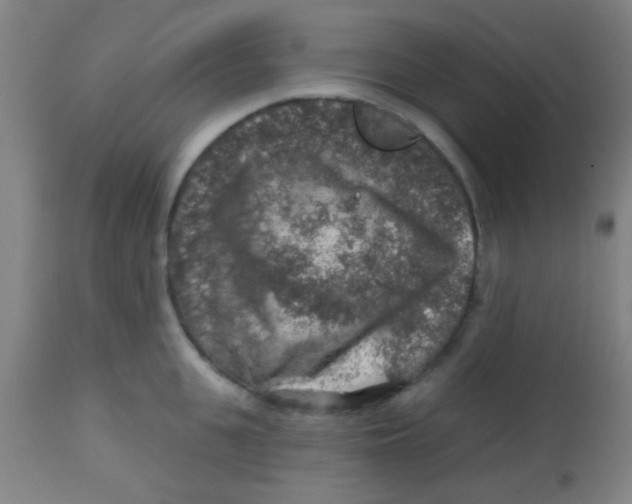 X0000113860951200910221438