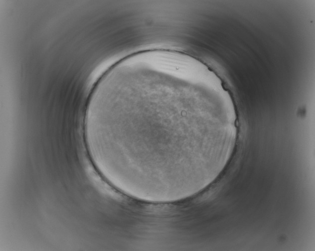 X0000113860952200910221438