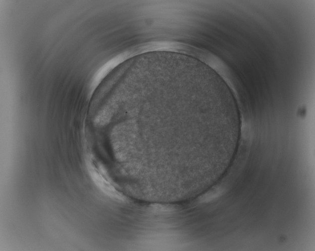 X0000113860954200910221438