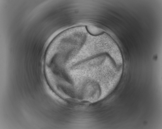 X0000113860955200910221438