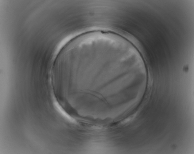 X0000113860958200910221438