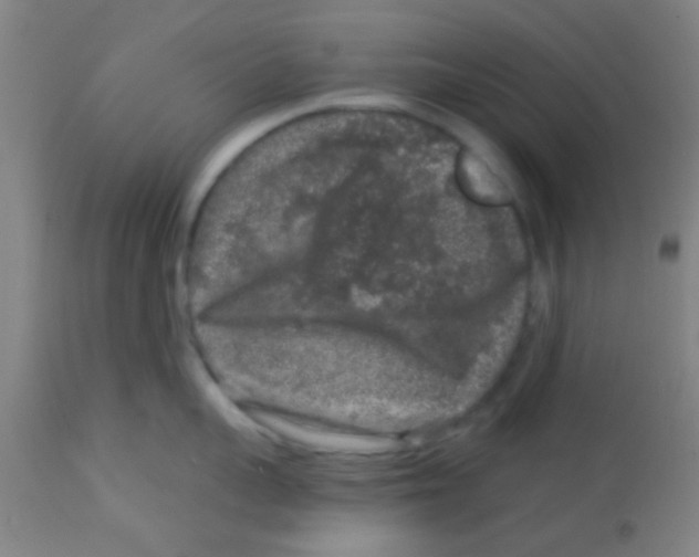 X0000113860959200910221438